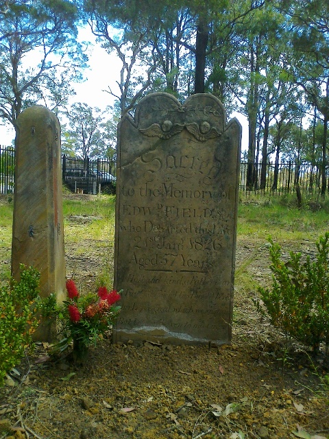 Field  Restored Stone